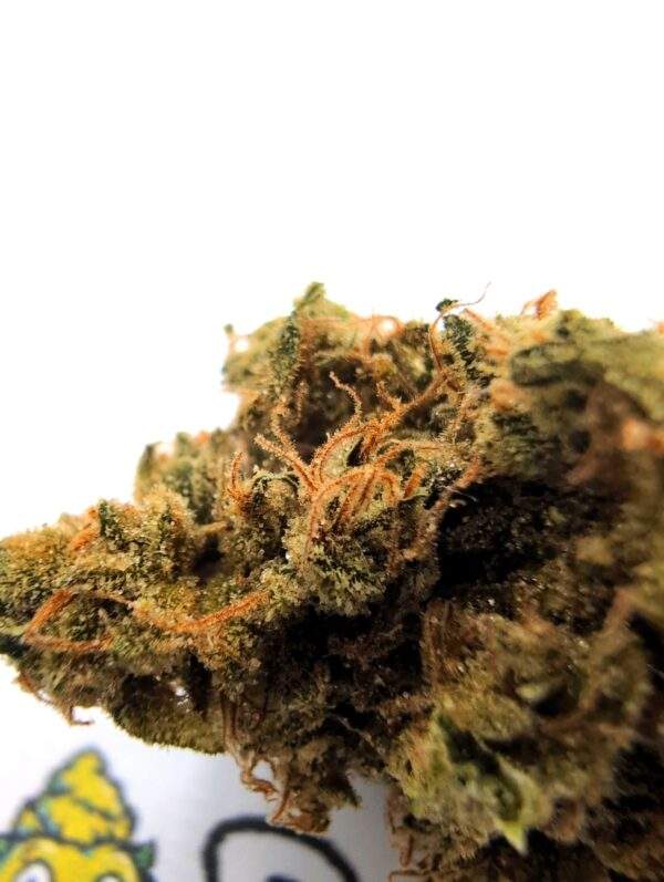 Big Buddha Cheese - Image 2