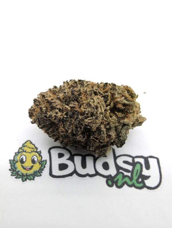 ga1 Grape Ape - Image 1