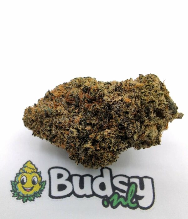 GDP1 Grand Daddy Purple - Image 1