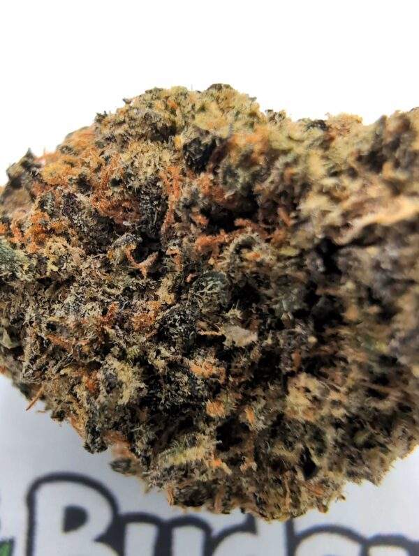 Grand Daddy Purple - Image 2