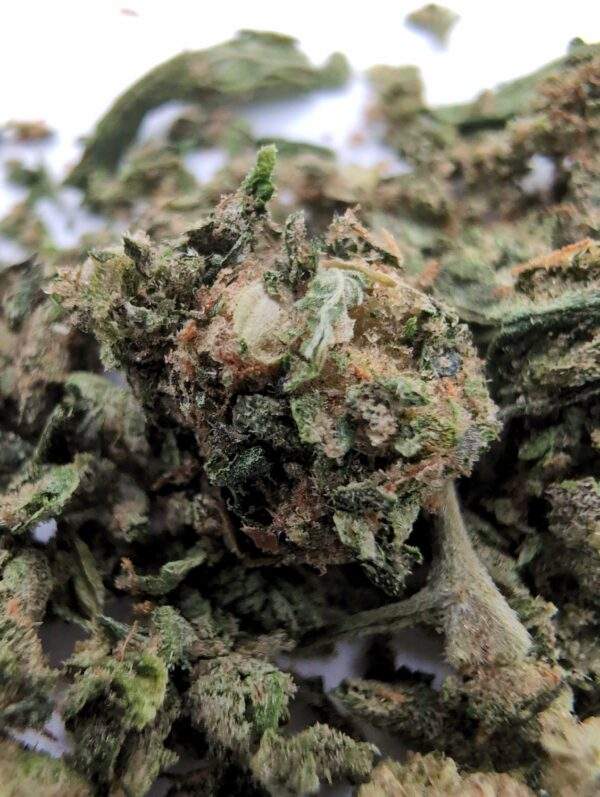 Pancake Grit - 5 Grams - Image 2