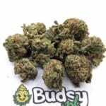 Pancakes Lil Buds - 5 Gram