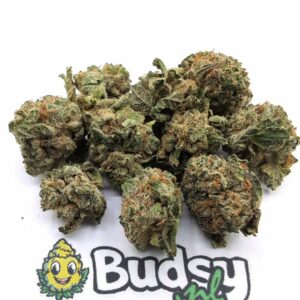 Pancakes Lil Buds - 5 Gram