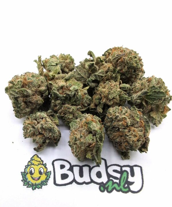 pp1 Pancakes Lil Buds - 5 Gram - Image 1