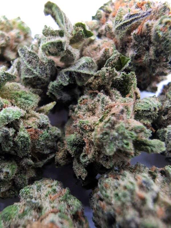 Pancakes Lil Buds - 5 Gram - Image 2