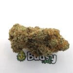 Strawberry Shortcake - Cali