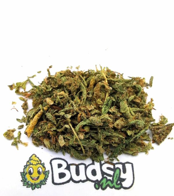 o1 Oreoz Grit - 5 Grams - Image 1