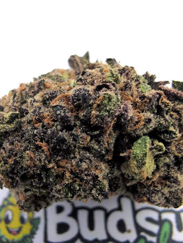 Pink Gorilla - Afbeelding 2