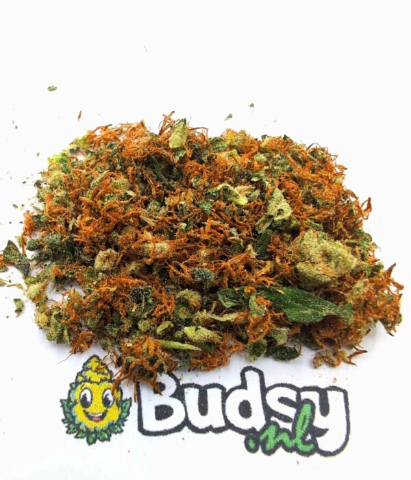 IMG_20251210_014837 White Widow Gruis - 5 Gram - Afbeelding 1