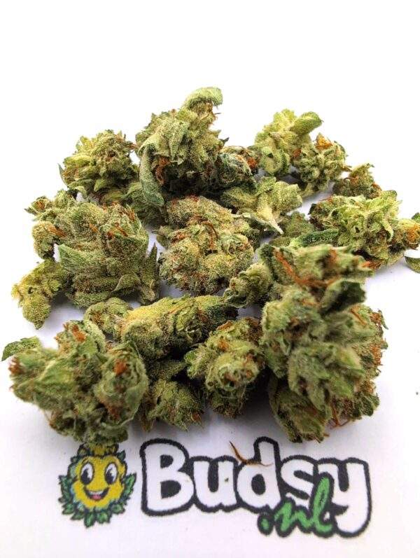 bd1 Blue Dream Lil Buds - 5 Gram - Afbeelding 1