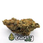 Blueberry Muffin
