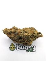 Blueberry Muffin