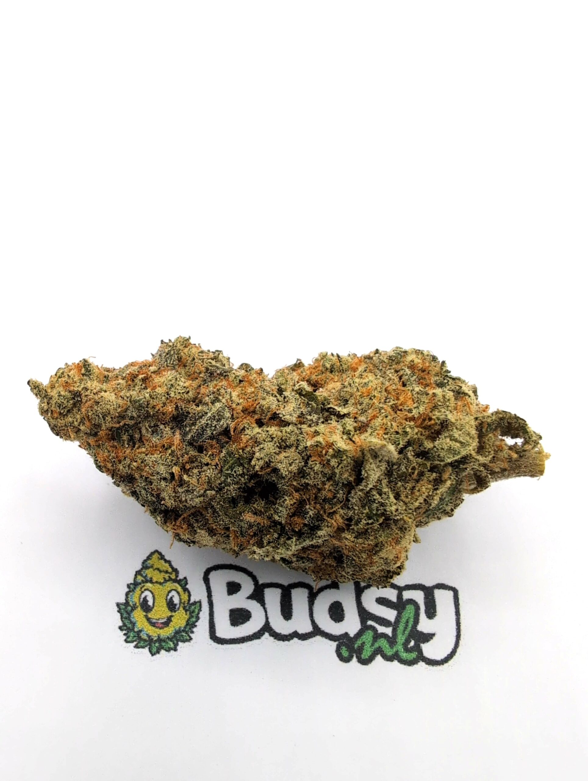 IMG_20260611_011151 Blueberry Muffin - Afbeelding 1