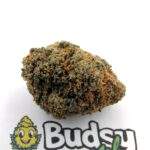 Animal cookies