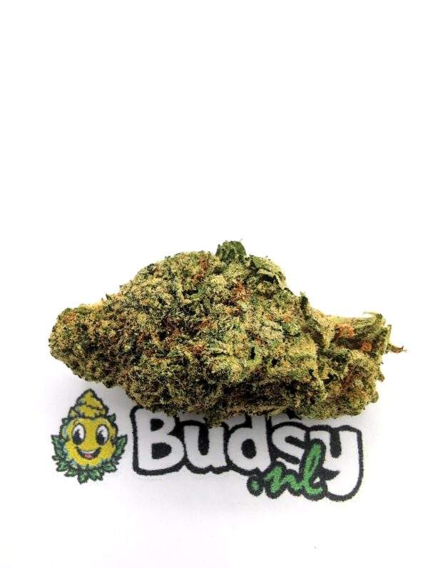 Zombie Kush - Afbeelding 1