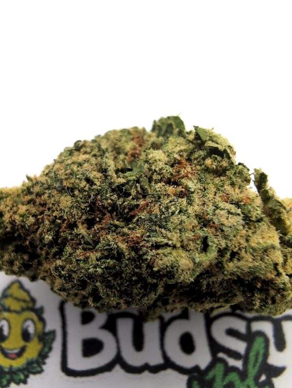 Zombie Kush - Afbeelding 2