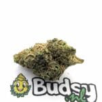 Durban Poison