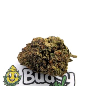 Girl Scout Cookies