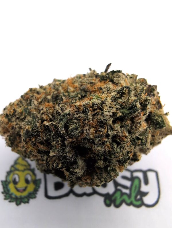 Lemon Berry - Afbeelding 2