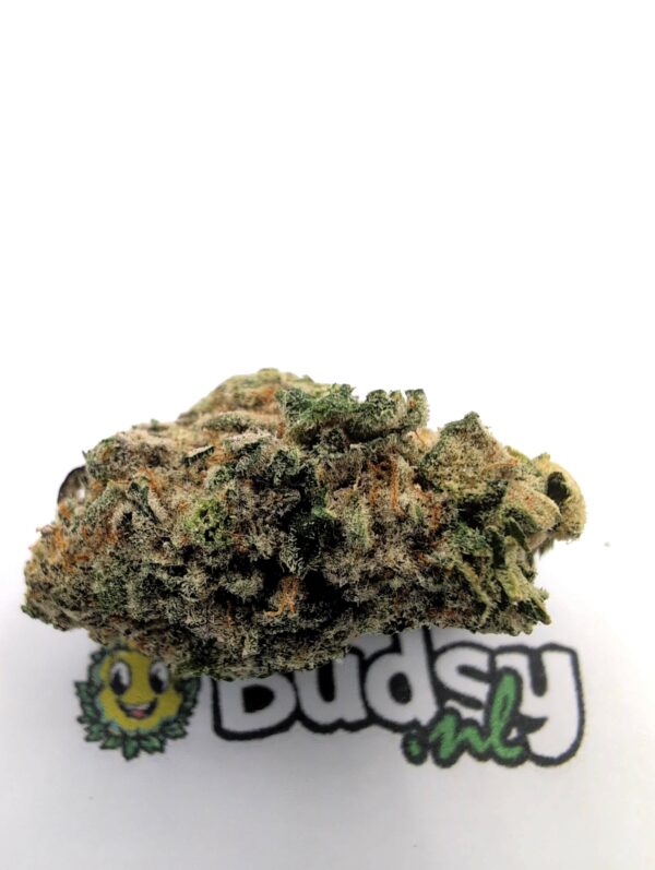 td1 Tangerine Dream - Afbeelding 1