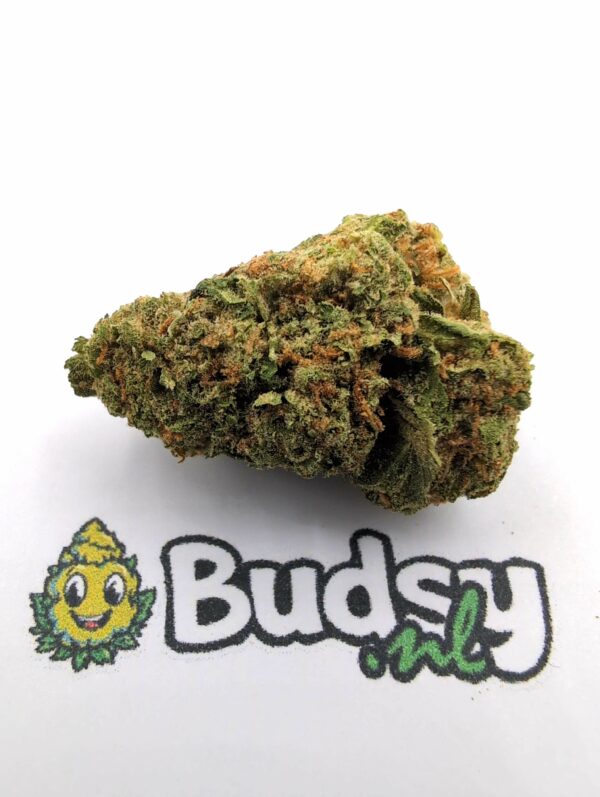 IMG_20260315_210059 Blue Dream - Afbeelding 1