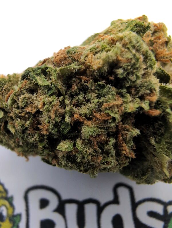 Blue Dream - Afbeelding 2