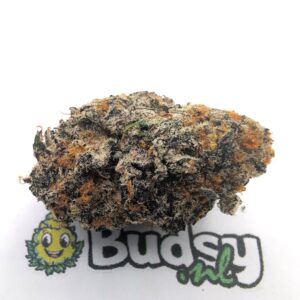 Purple Gelato