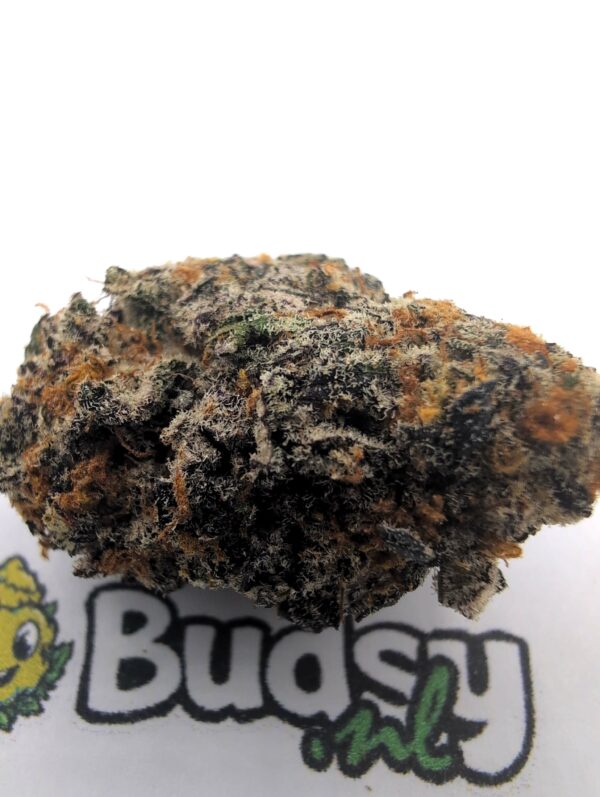 Purple Gelato - Afbeelding 2