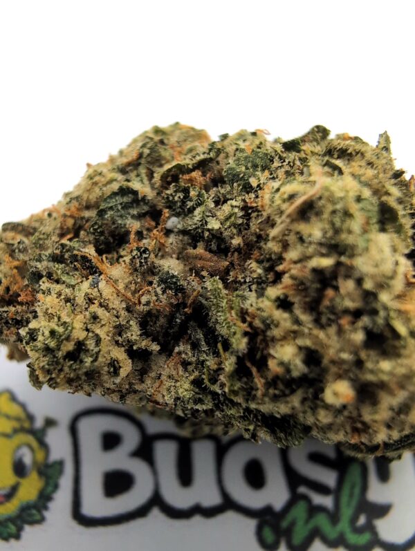 White Gelato Cake - Afbeelding 3
